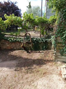 Photo de galerie - Taile de vigne et Lier 