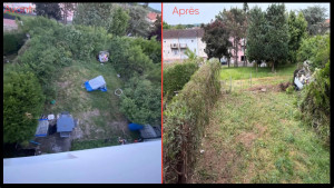 Photo de galerie - Taille et déssouchage de haies