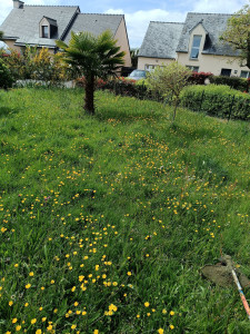 Photo de galerie - Avant