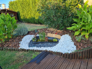 Photo de galerie - Finition de bassin