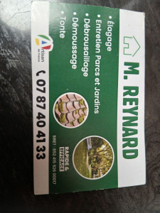 Photo de galerie - Taille des hais àbatage tout type d'arbre  pelouse jardin