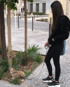 Photo de galerie - Garde chat