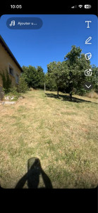 Photo de galerie - Débroussaillage