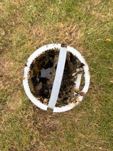 Photo de galerie - Entretien piscine