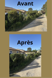 Photo de galerie - Taille haie