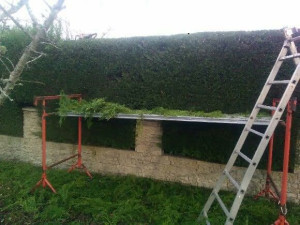 Photo de galerie - Paysagiste - Aménagement du jardin