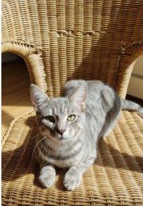 Photo de galerie - Usher 