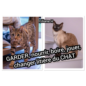 Photo de galerie - GARDER, nourrir, boire, jouer, changer litière du CHAT