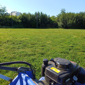 Photo de galerie - Après la 1ère tonte depuis 12 mois 