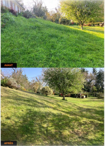 Photo de galerie - Débroussaillage avec ramassage/ première tonte 