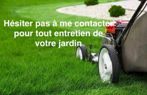 Photo de galerie - Tonte de pelouse - Débroussaillage