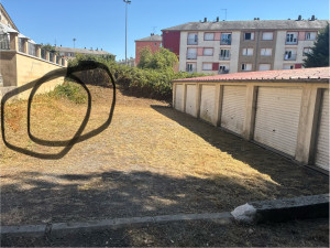 Photo de galerie - Tonte de pelouse - Débroussaillage