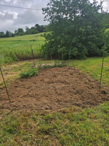 Photo de galerie - Jardin potager  retourner