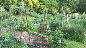 Photo de galerie - Structure soudées en fer à béton et tipi en saule tressé. 
