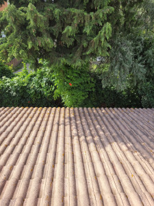 Photo de galerie - Après nettoyage 