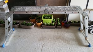 Photo de galerie - Avec plaques