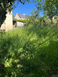 Photo de galerie - Tonte de pelouse - Débroussaillage