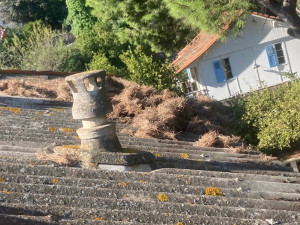 Photo de galerie - Nettoyage toiture