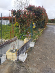 Photo de galerie - Maçonnerie