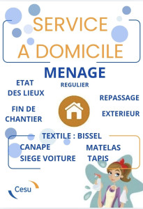 Photo de galerie - Équipement : bissel
 et karcher pour l'extérieur 