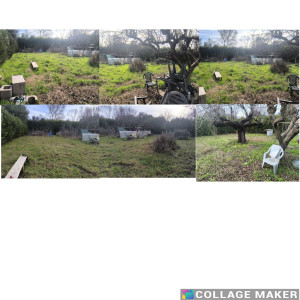 Photo de galerie - Tonte de pelouse avec enlevement des déchets verts 30€/heure