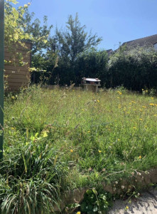 Photo de galerie - Le avant du jardin 