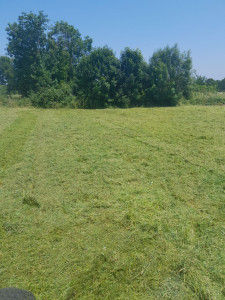 Photo de galerie - Debroussaillage