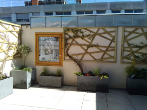 Photo de galerie - Paysagiste - Aménagement du jardin