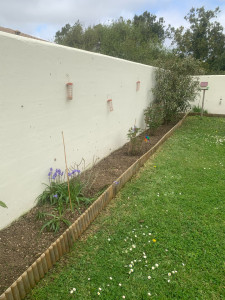 Photo de galerie - Désherba après 