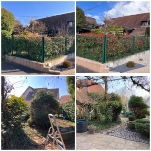 Photo de galerie - Nettoyage de printemps