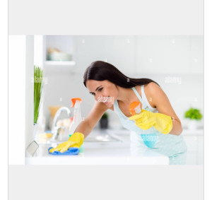 Photo de galerie - Ménage très efficace
