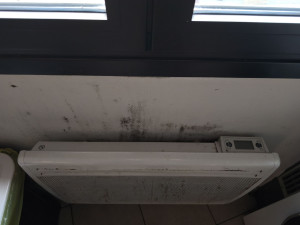 Photo de galerie - Diagnostic de moisissure noire (Stachybotrys chartarum) : germination due à l’humidité puis sporification. Recherche de cause et solution préconisée.