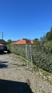 Photo de galerie - Taille de Haie à Lescar 