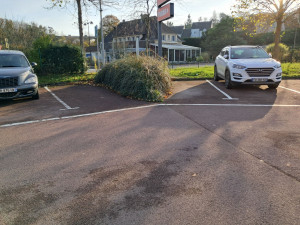 Photo de galerie - Taille de haies et d'arbustes