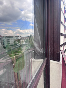 Photo de galerie - Nettoyage vitre avant 