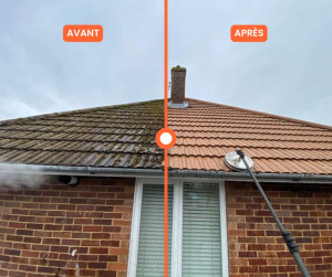 Photo de galerie - Nettoyage toiture avant / après 