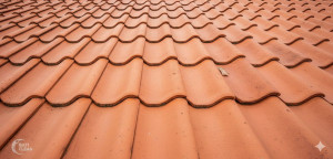 Photo de galerie - Après nettoyage.