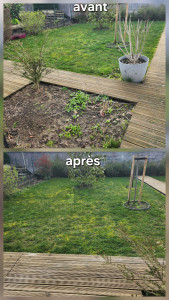 Photo de galerie - Tonte 