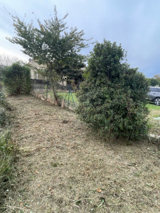 Photo de galerie - DÉBROUSSAILLAGE 