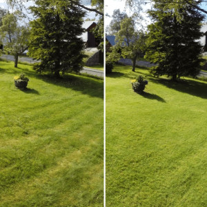 Photo de galerie - Comparaison du gazon avant et après la tonte.
