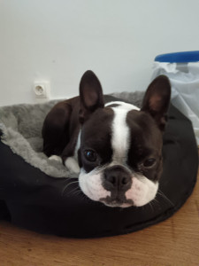 Photo de galerie - Titou j'adore 