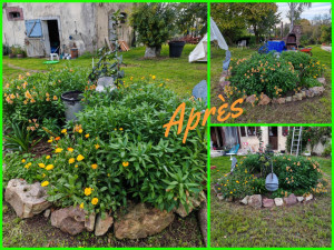 Photo de galerie - 6 mois après 