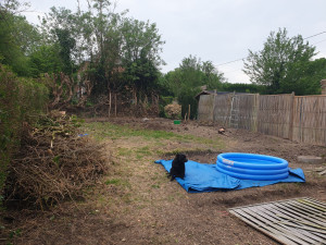Photo de galerie - Paysagiste - Aménagement du jardin
