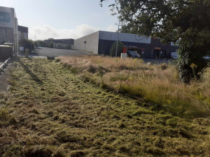 Photo de galerie - Broyage parcelle / terrain 