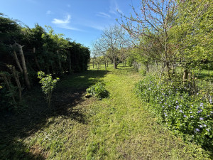 Photo de galerie - Débroussaillage 