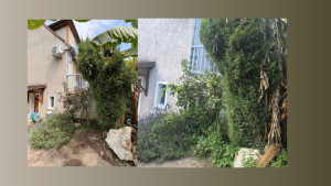 Photo de galerie - Paysagiste - Aménagement du jardin