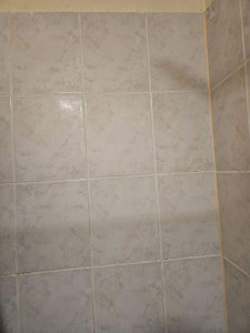 Photo de galerie - Laver et nettoyer les carreaux de salle de bains 