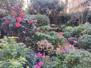 Photo de galerie - Bonjour 