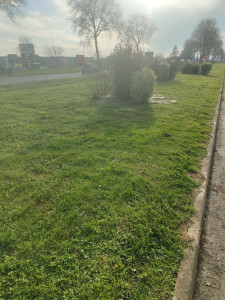 Photo de galerie - Grande tonte zone Weldom Luçon 