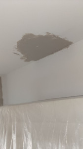 Photo de galerie - Peinture - Tapisserie